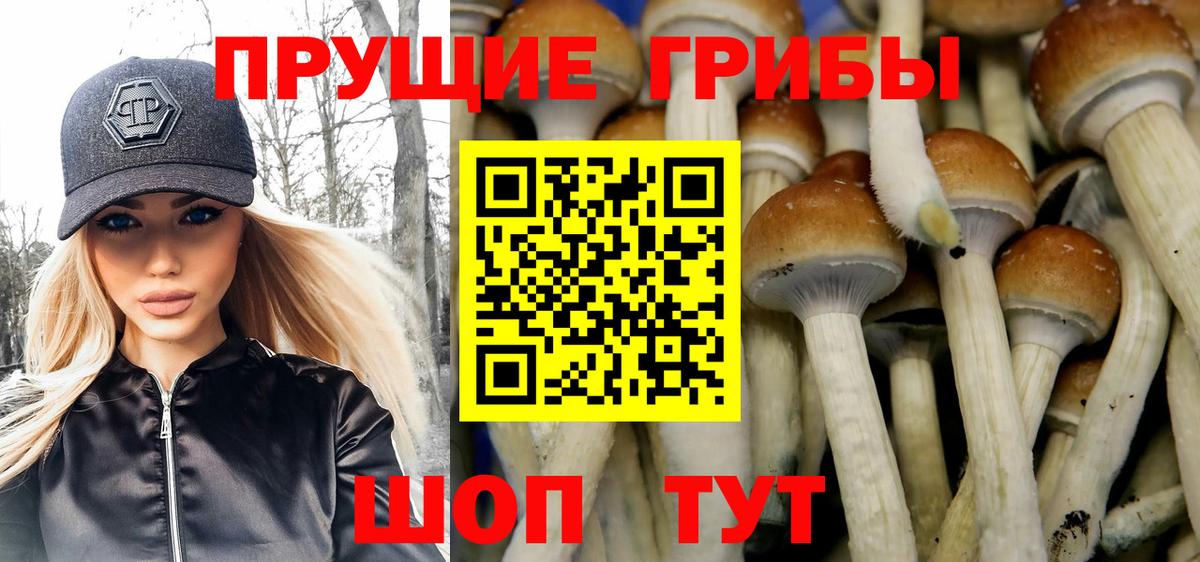 Белгород  Псилоцибиновые грибы Magic Shrooms  Вход с VPN 