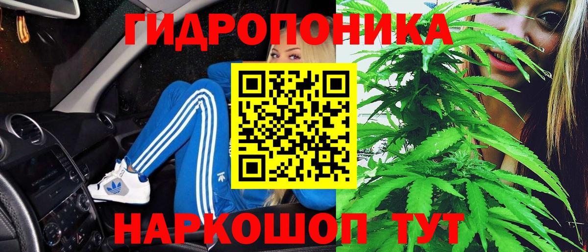 Бошки Шишки тримм  Канабис AK-47  Белгород  Вход с VPN  МАРИХУАНА ГИДРОПОН 